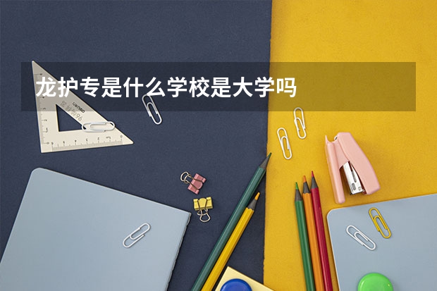 龙护专是什么学校是大学吗