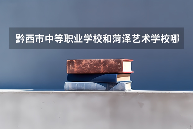 黔西市中等职业学校和菏泽艺术学校哪个好