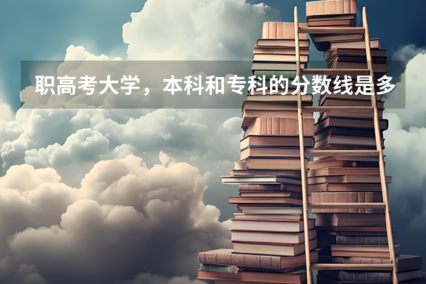 职高考大学，本科和专科的分数线是多少啊