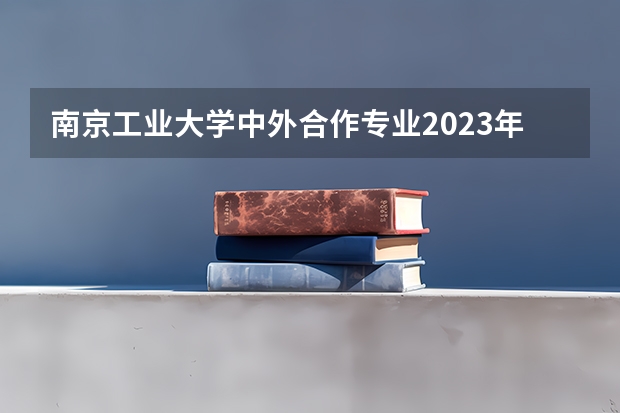 南京工业大学中外合作专业2023年分数线是多少？