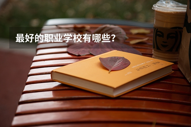 最好的职业学校有哪些?
