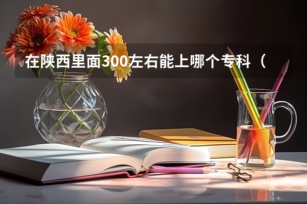 在陕西里面300左右能上哪个专科(高职)院校?