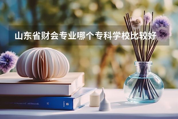 山东省财会专业哪个专科学校比较好